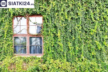 Siatki Strzelin - Siatka z dużym oczkiem - wsparcie dla roślin pnących na altance, domu i garażu dla terenów Strzelina